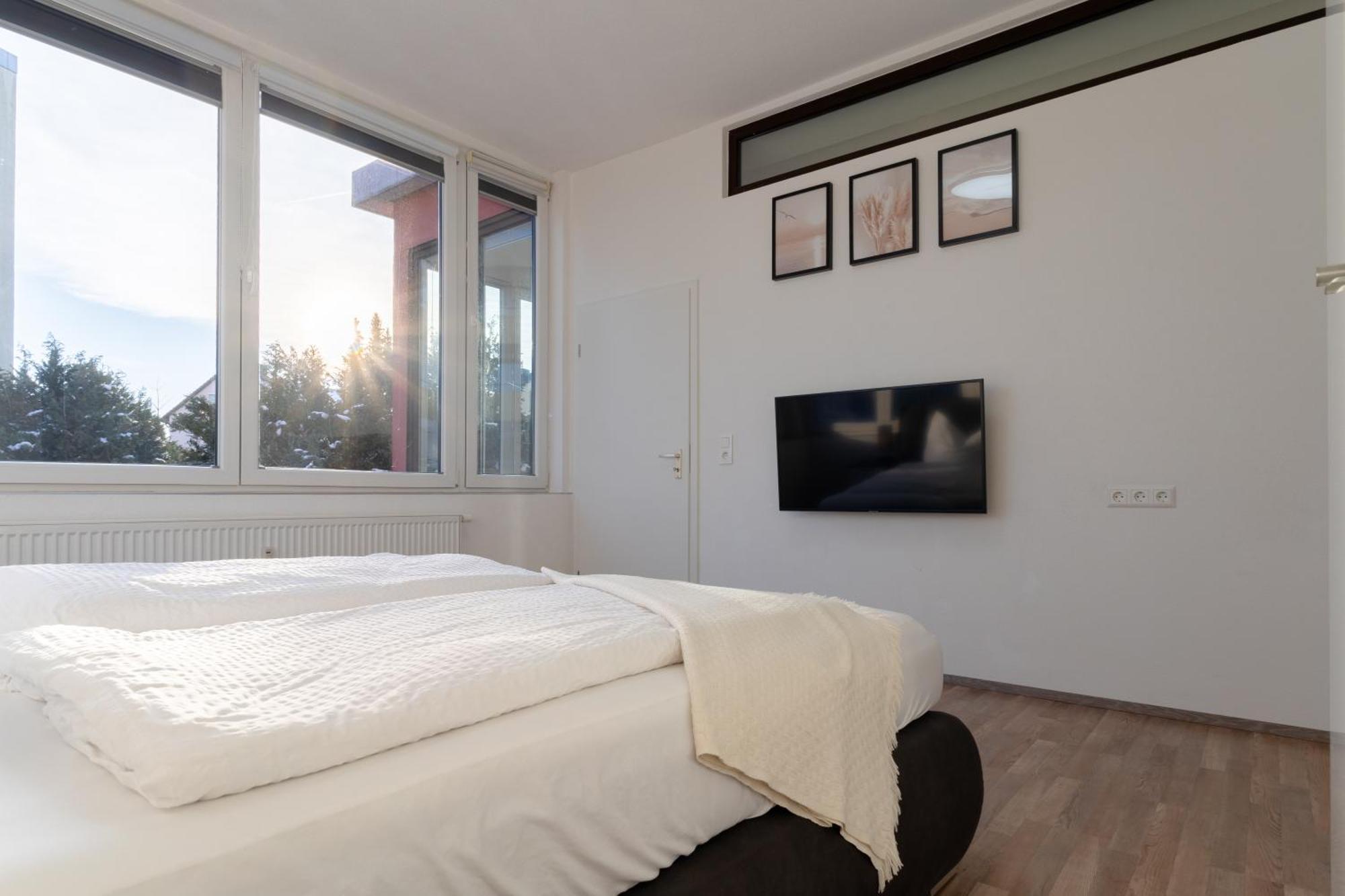 Bodensee Loft - 116 M² Traumwohnung الدنغن مولهوفن المظهر الخارجي الصورة