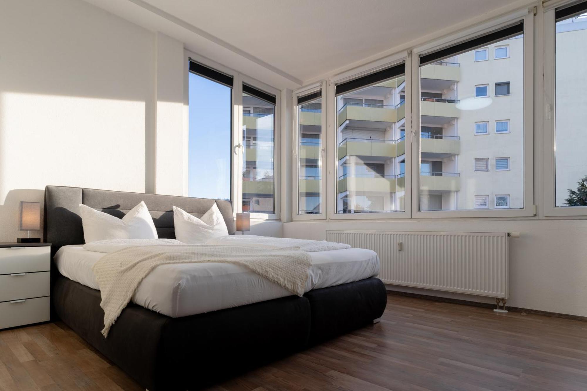 Bodensee Loft - 116 M² Traumwohnung الدنغن مولهوفن المظهر الخارجي الصورة